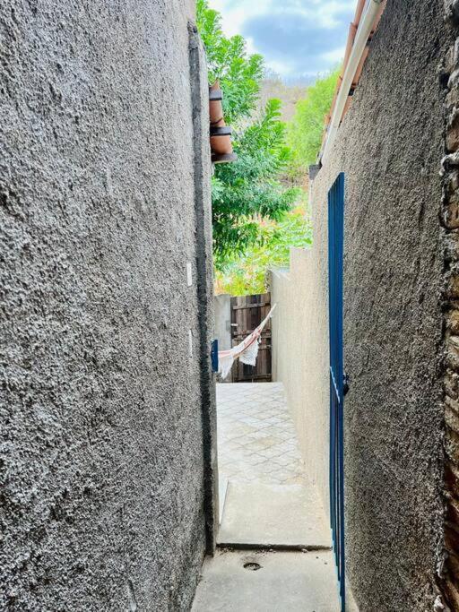 פיראניאס Casinha Flor, Vila Florescer, Centro Historico! מראה חיצוני תמונה